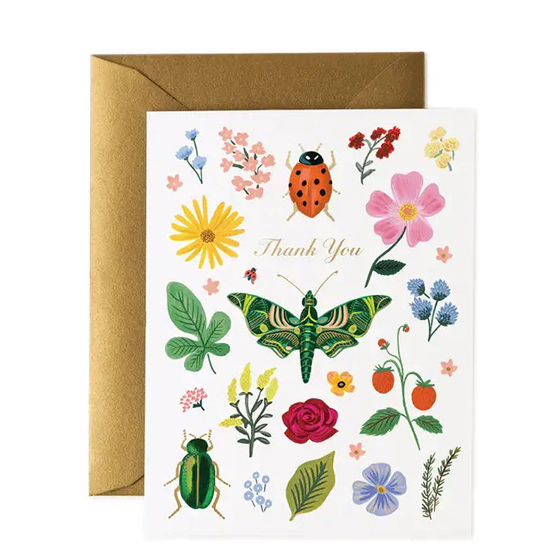 rifle-paper-co-curio-thank-you-card